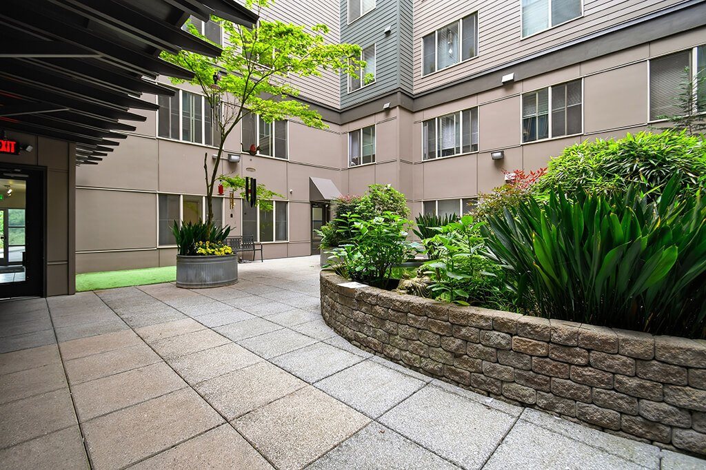 A courtyard with a stone wall and a tree.